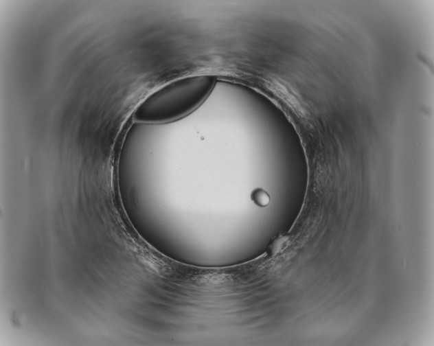 X0000096151268200802081403