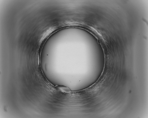 X0000096151269200802081403