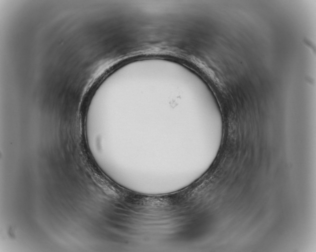 X0000096151270200802081403