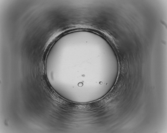 X0000096151271200802081403