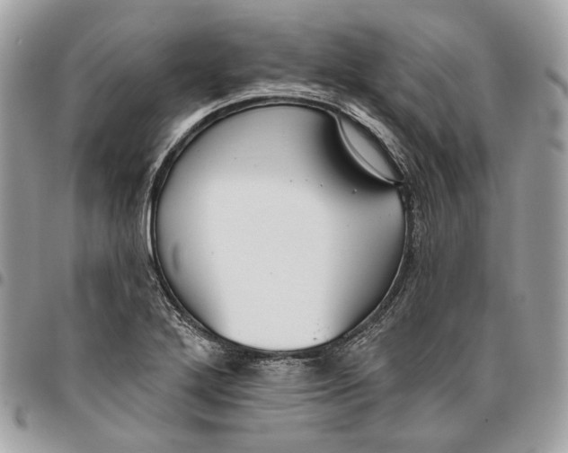 X0000096151272200802081403