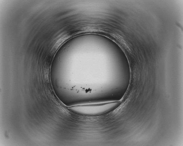 X0000096151273200802081403