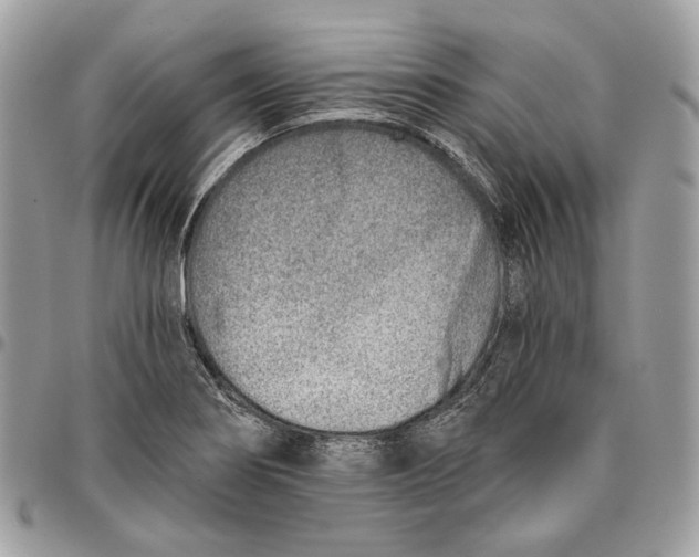 X0000096151274200802081403