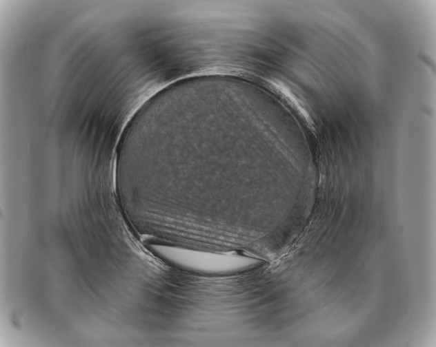 X0000096151276200802081403