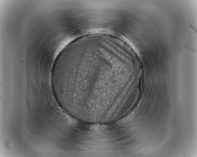 X0000096151277200802081403