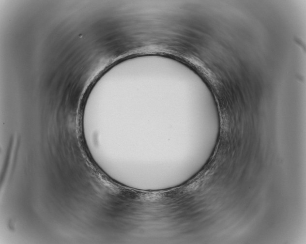 X0000096151278200802081403