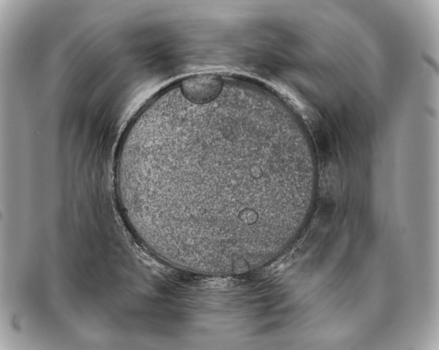 X0000096151279200802081403