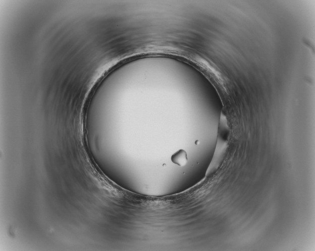 X0000096151280200802081403