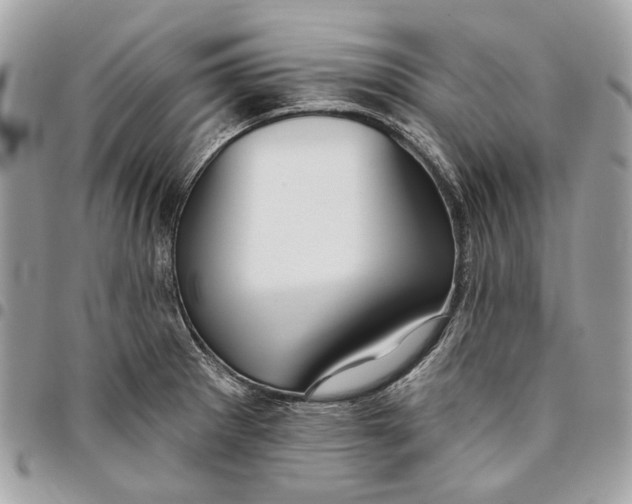 X0000096151281200802081403