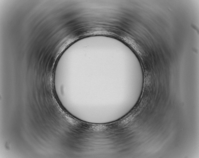 X0000096151282200802081403