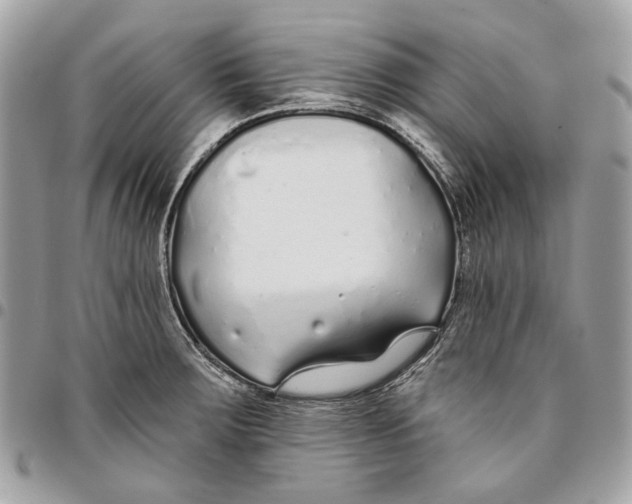 X0000096151283200802081403