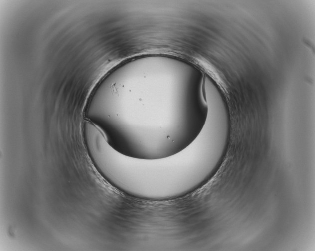 X0000096151284200802081403