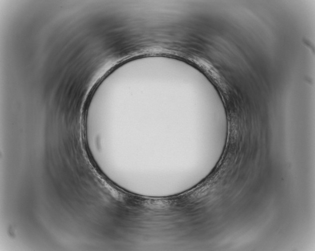 X0000096151286200802081403