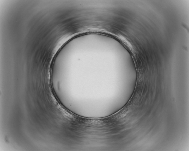 X0000096151287200802081403