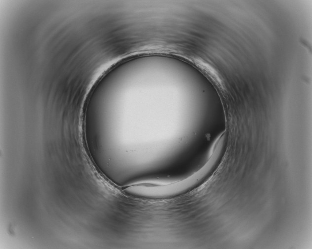 X0000096151288200802081403