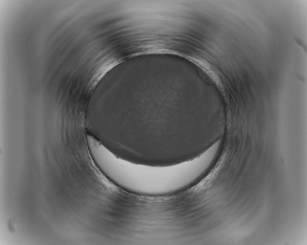 X0000096151289200802081403