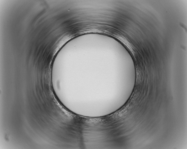 X0000096151290200802081403