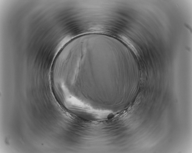 X0000096151291200802081403