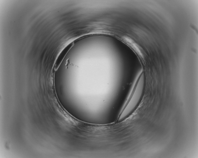 X0000096151292200802081403