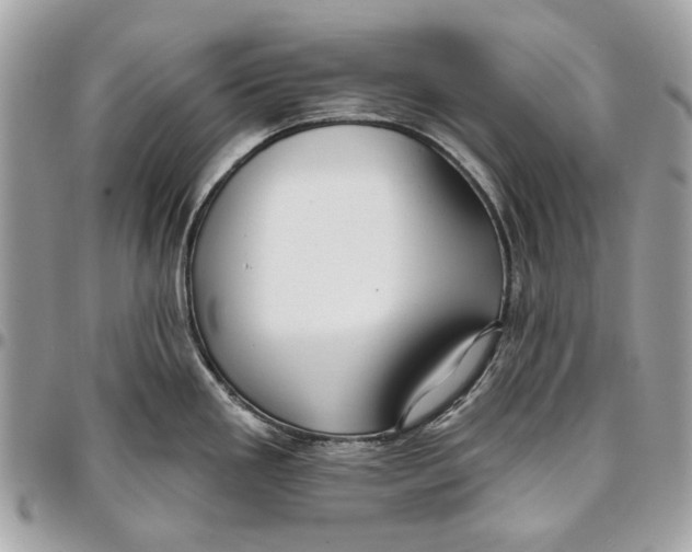 X0000096151293200802081403