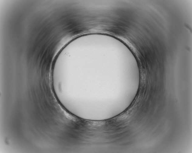 X0000096151294200802081403