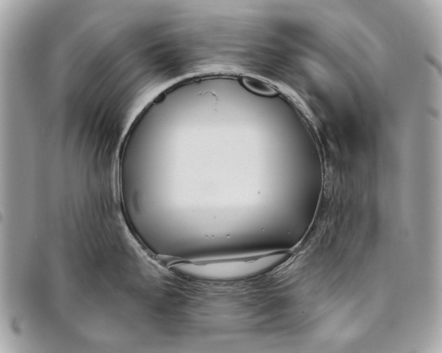 X0000096151295200802081403