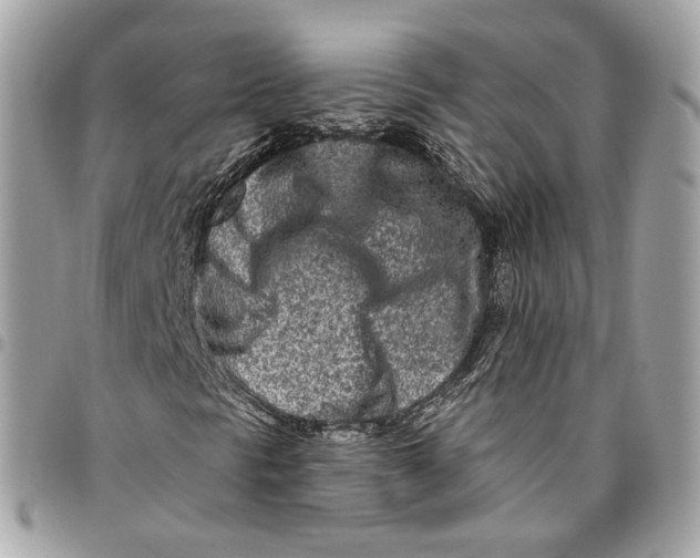 X0000096151297200802081402