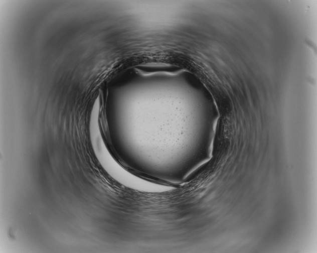 X0000096151298200802081402