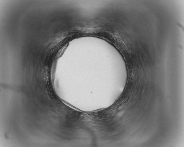 X0000096151301200802081402