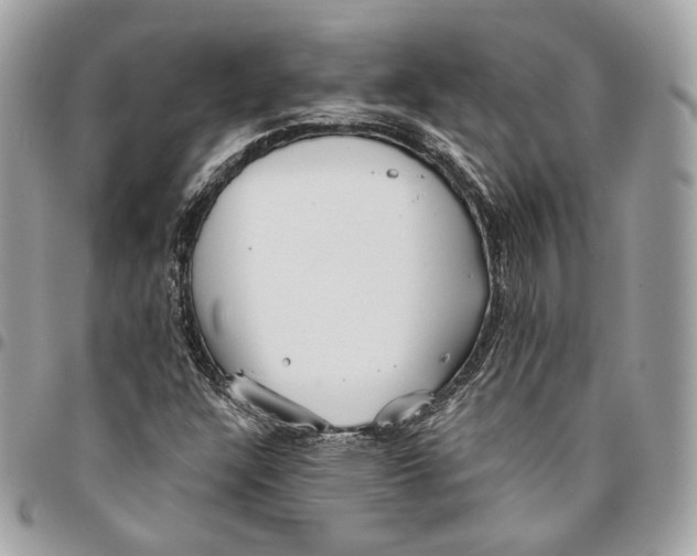 X0000096151304200802081402