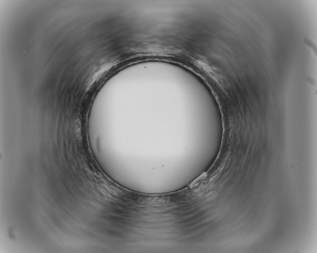X0000096151307200802081402