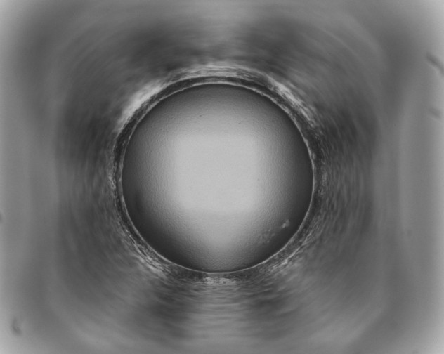 X0000096151312200802081402