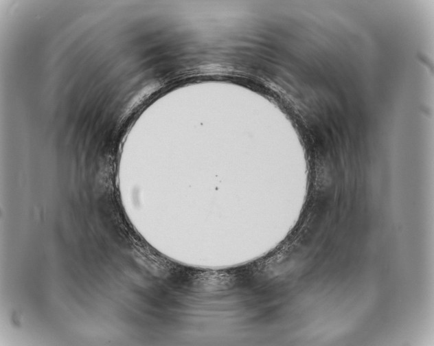 X0000096151314200802081402