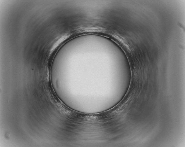 X0000096151317200802081402
