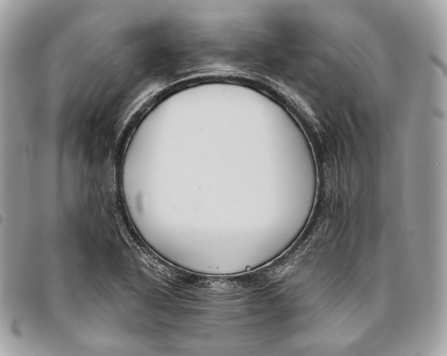 X0000096151318200802081402