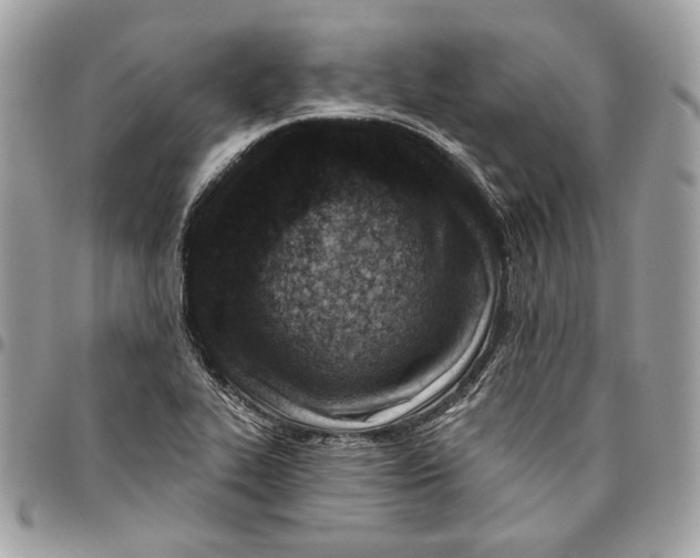X0000096151319200802081402
