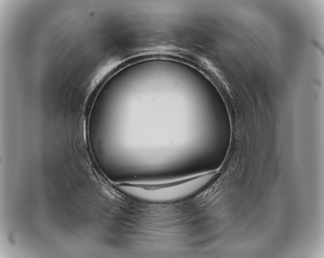 X0000096151320200802081402