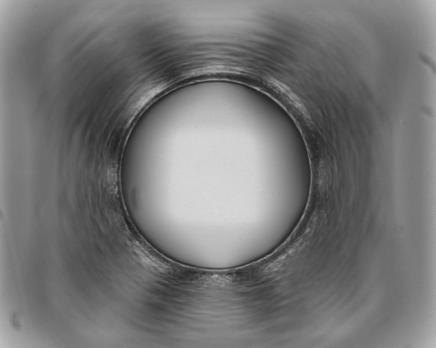 X0000096151321200802081402