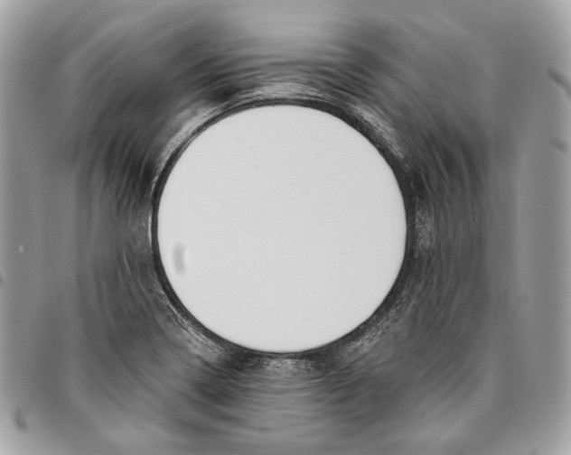 X0000096151322200802081402