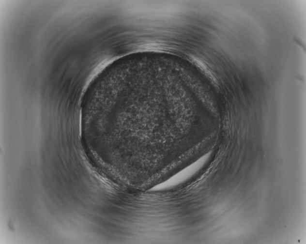 X0000096151323200802081402