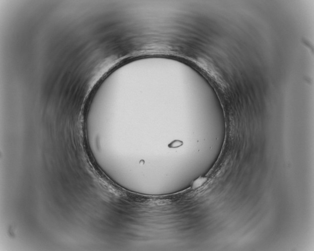 X0000096151325200802081402