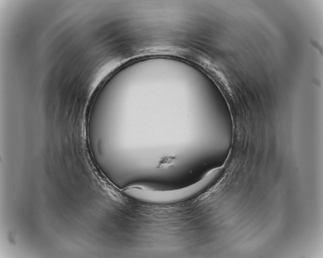 X0000096151328200802081402