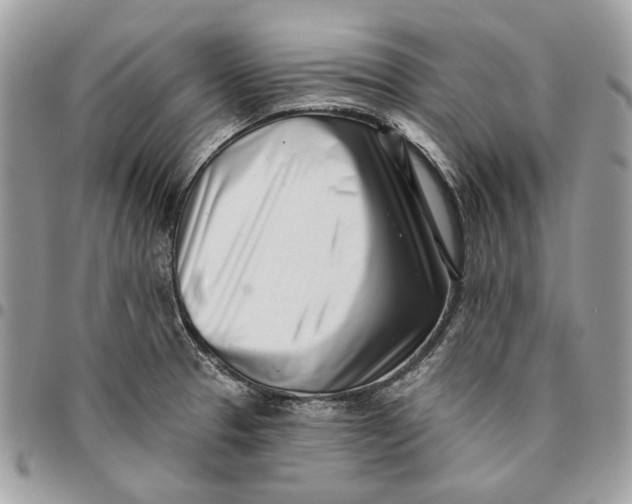 X0000096151329200802081402