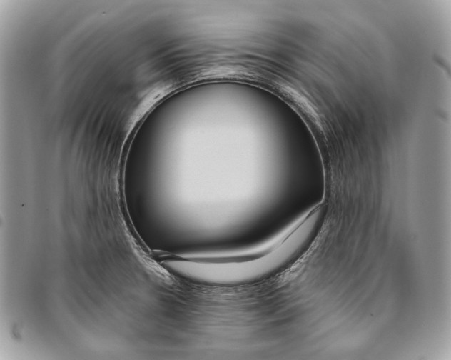 X0000096151330200802081402