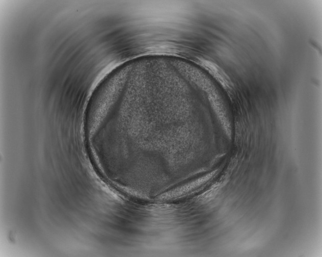 X0000096151331200802081402