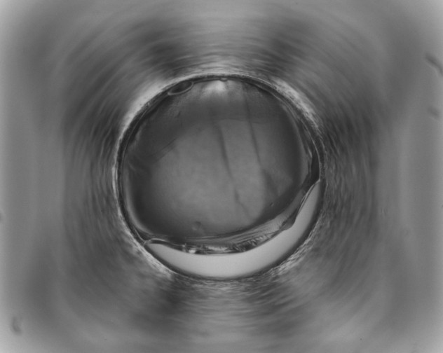 X0000096151334200802081402