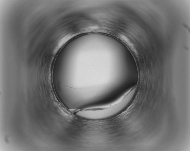 X0000096151336200802081402