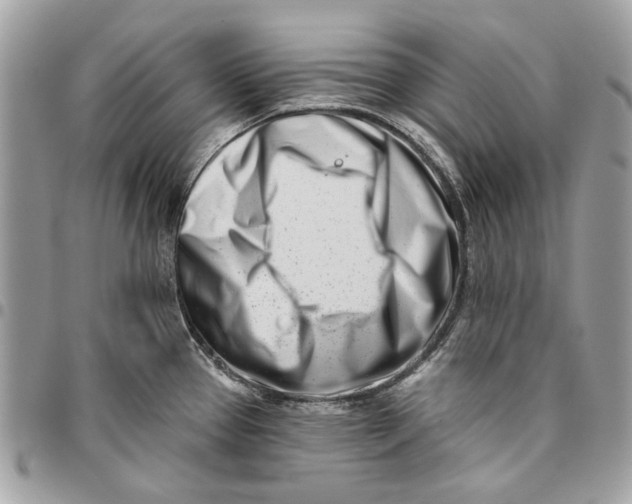 X0000096151337200802081402