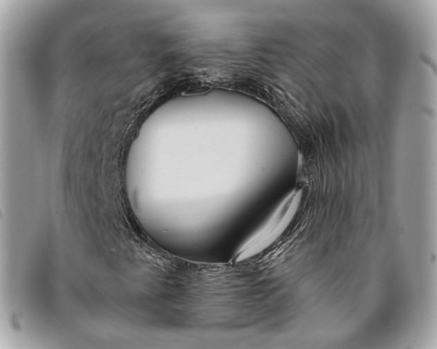 X0000096151345200802081402
