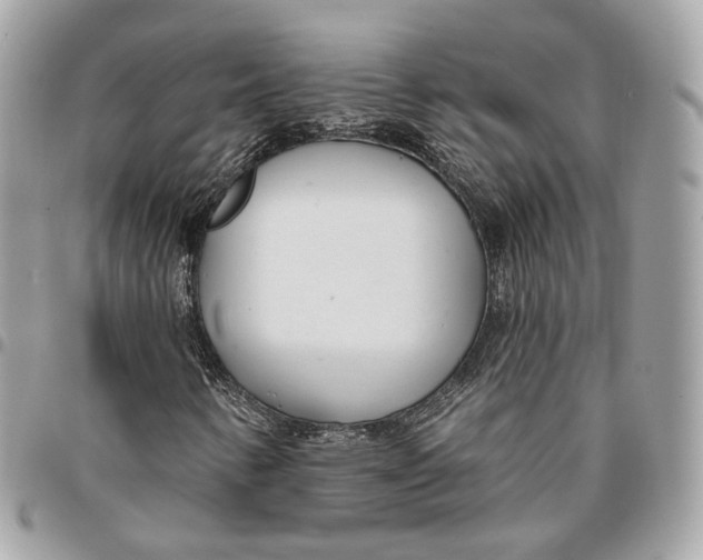 X0000096151346200802081402